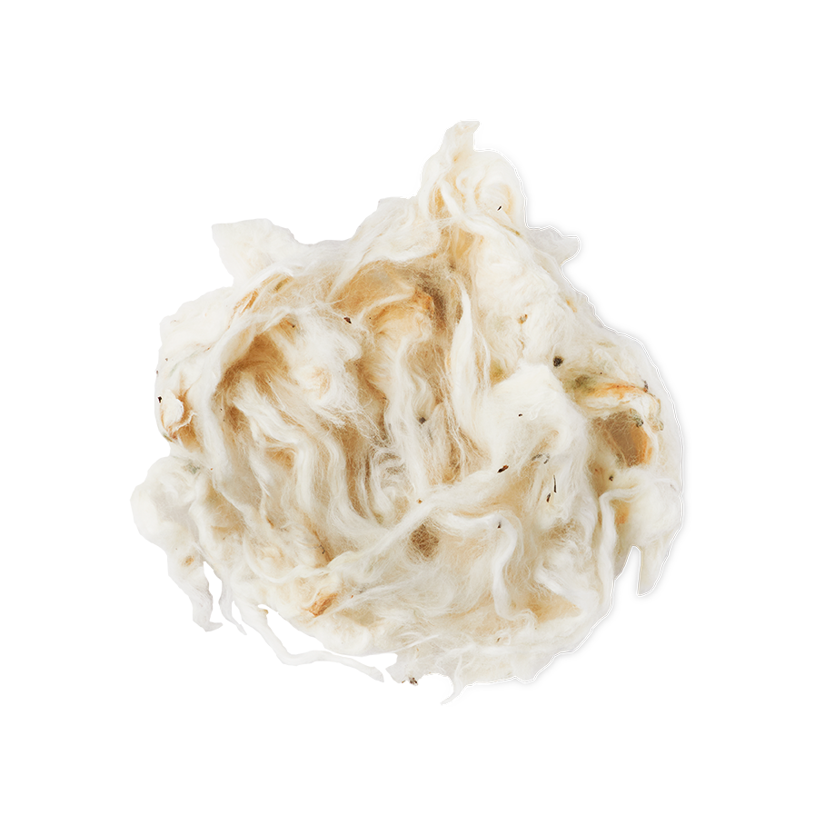 Lush Amazing — Wrap - Image 6