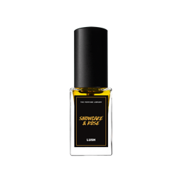 Lush Presale Product: Lush Advent Calendar - Image 11