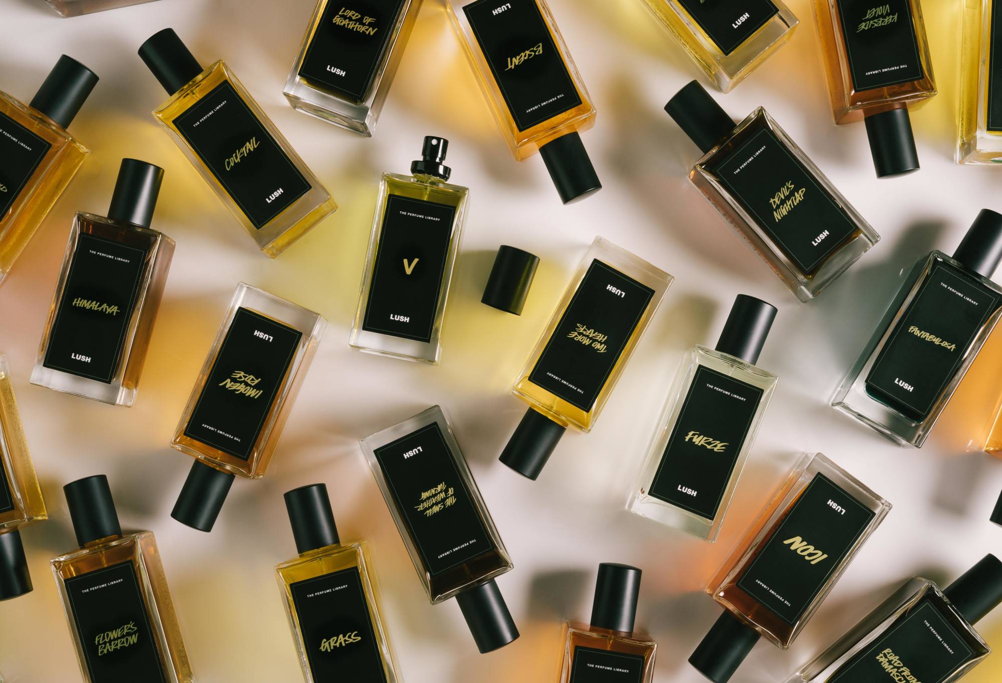 Lush V — Perfume - Image 2