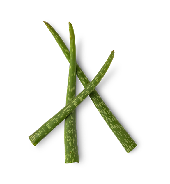 Lush Grease Lightning — Treatment - Image 8