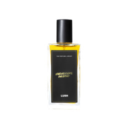 Lush Hairdresser's Husband — Perfume