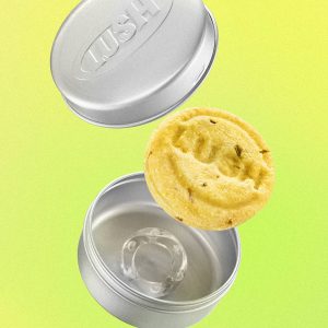 Lush Godiva — Shampoo