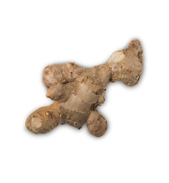 Lush Dream Time — Balm - Image 10