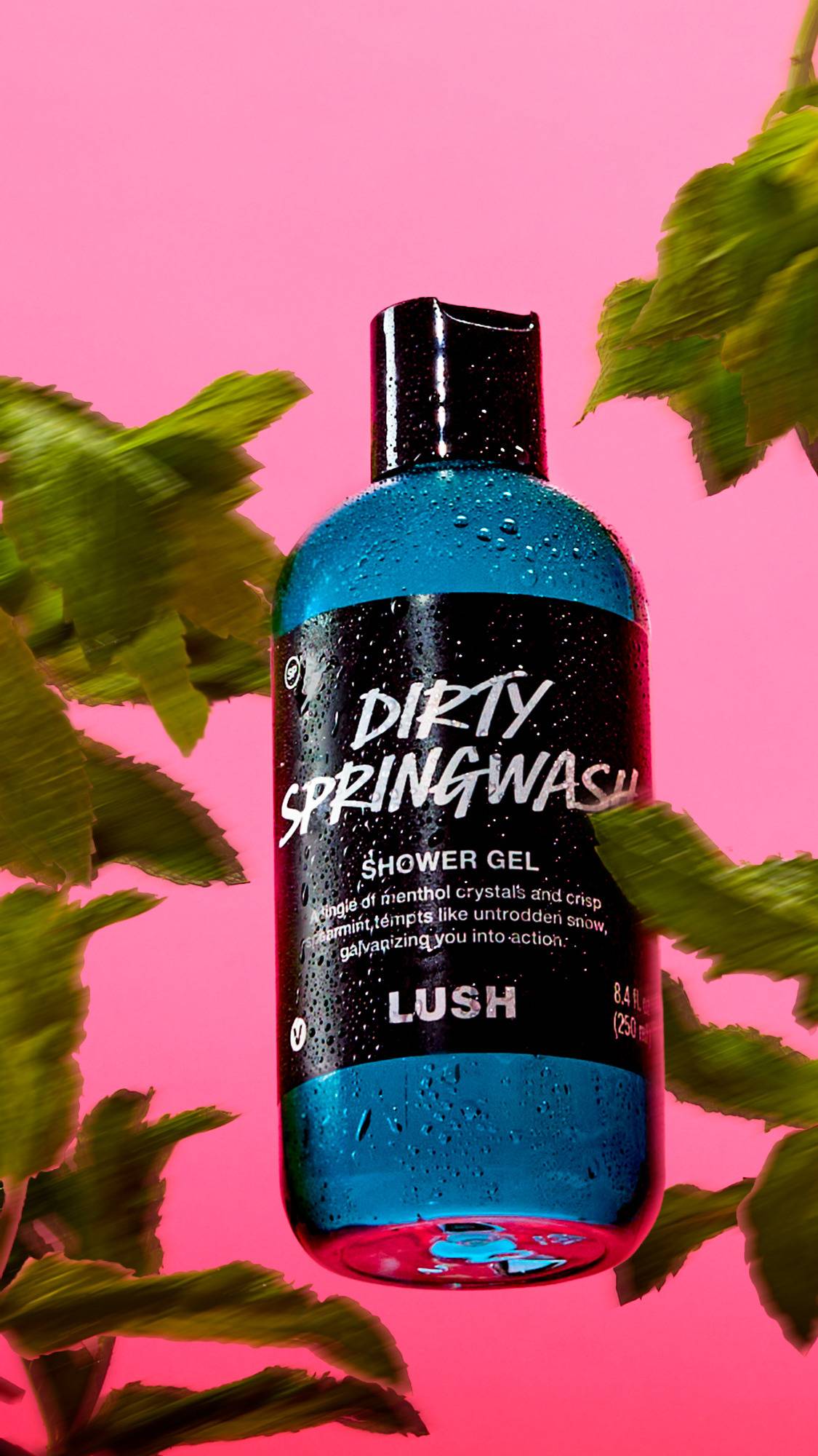 Lush Dirty Springwash — Shower Gel - Image 2