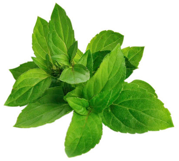 Lush Cooling — Gummy - Image 10