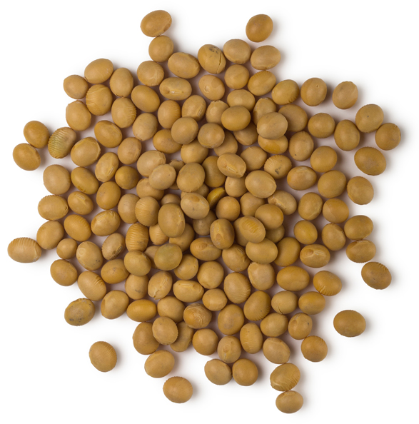 Lush Mostly — Wash - Image 9