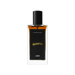 Lush Nights — Gift - Image 4