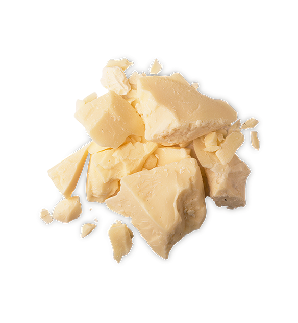 Lush Celestial — Moisturiser - Image 11
