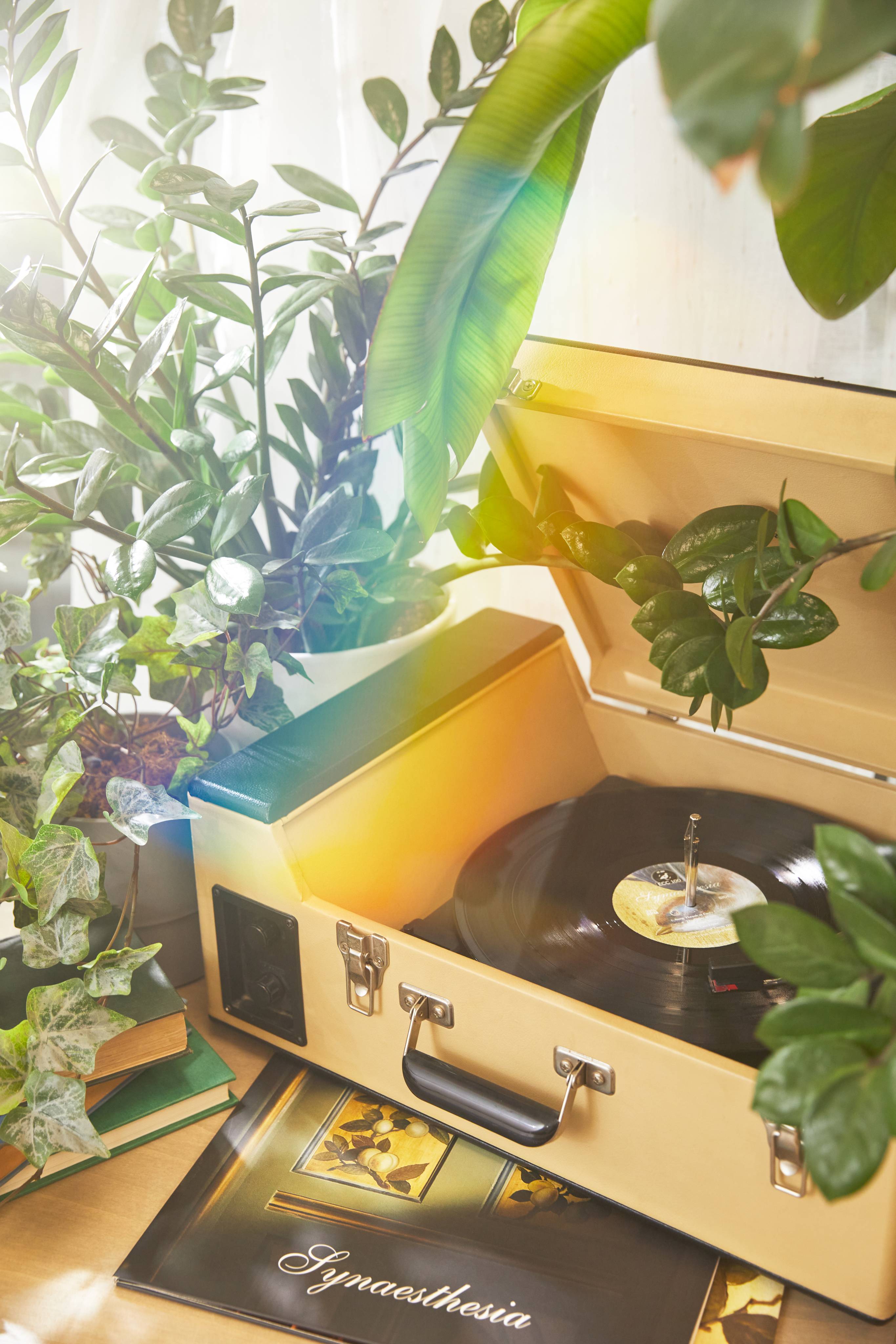 Lush Synaesthesia — Vinyl - Image 2