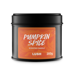 Lush Pumpkin Spice — Candle - Image 5