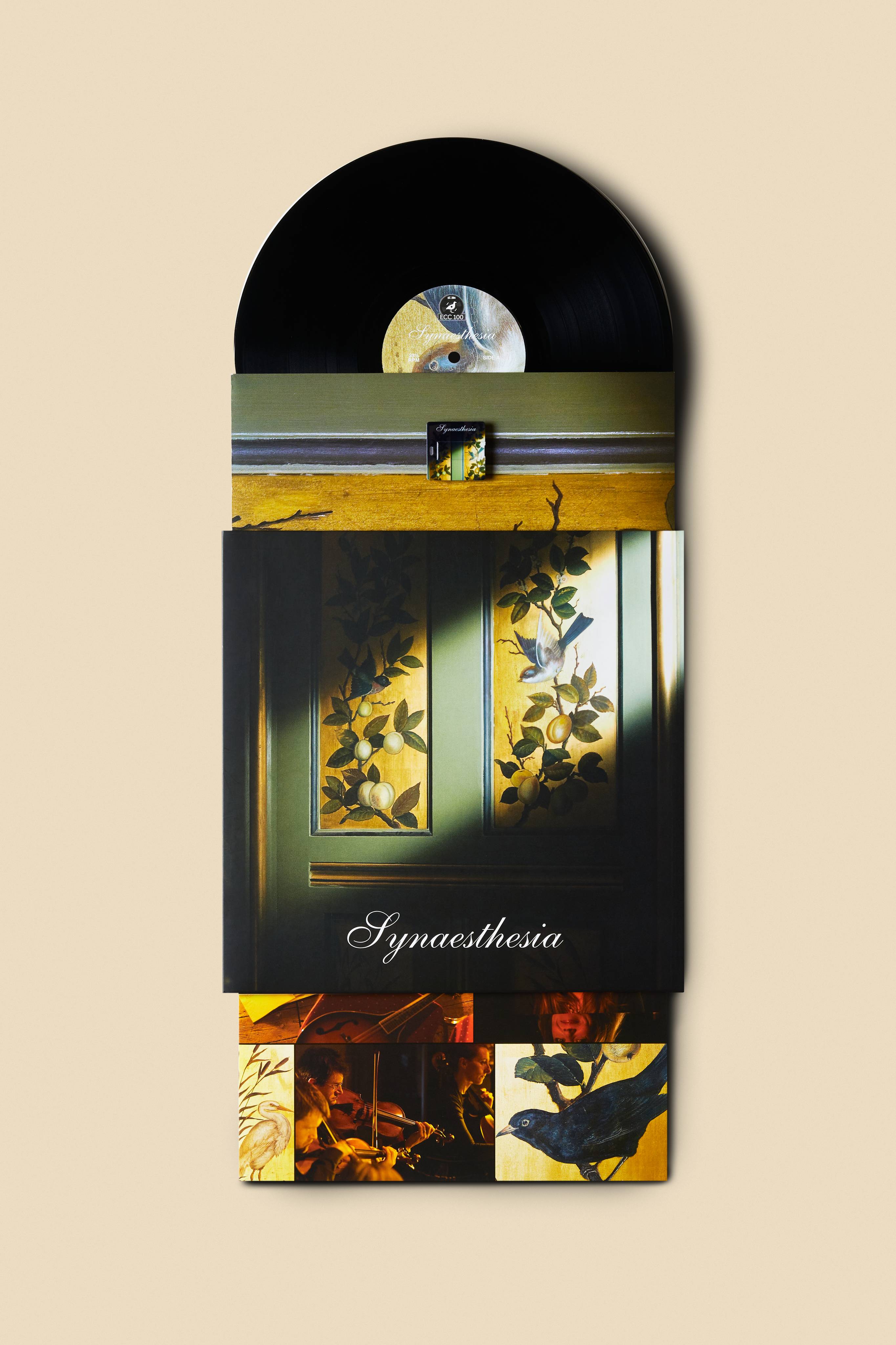 Lush Synaesthesia — Vinyl - Image 3