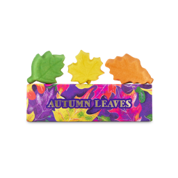 Lush Autumn Leaves — Gift