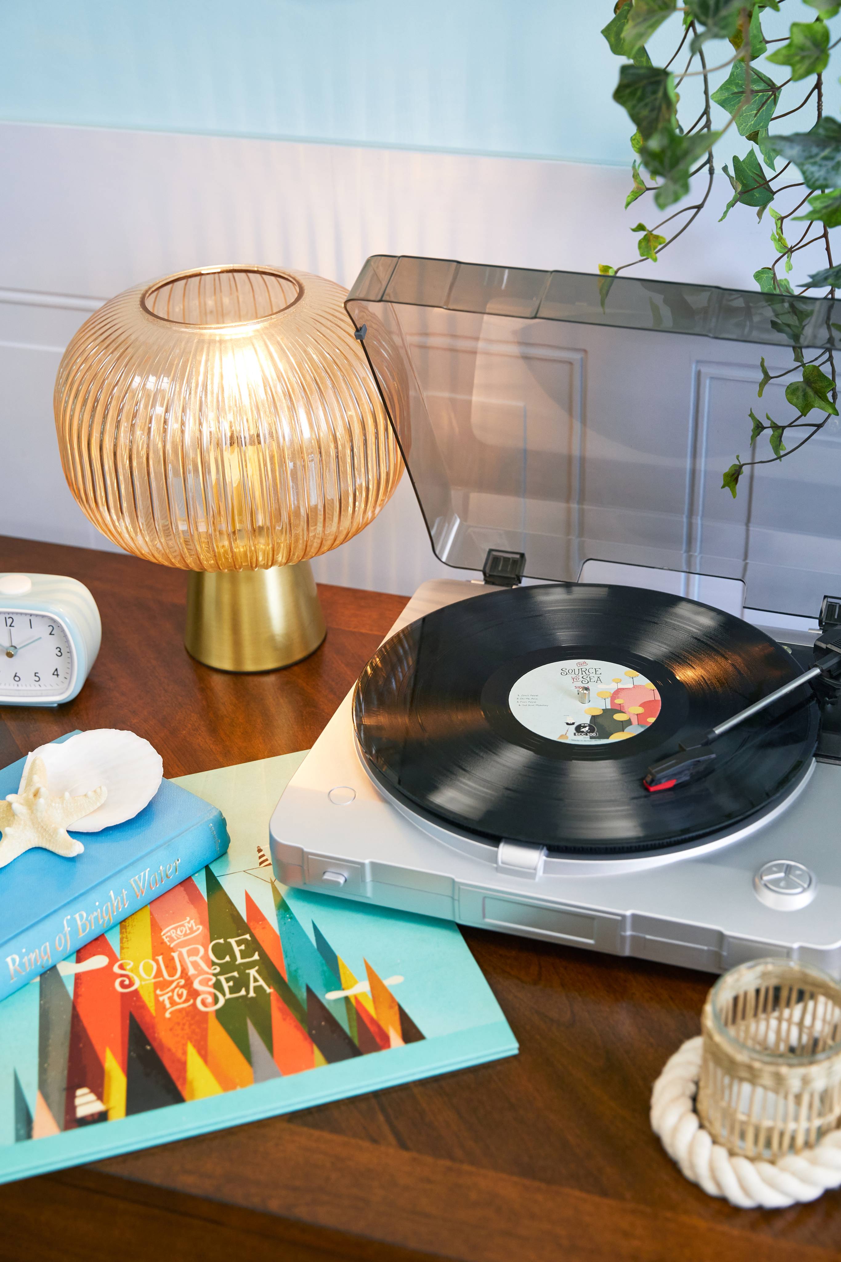 Lush From Source To Sea — Vinyl - Image 2