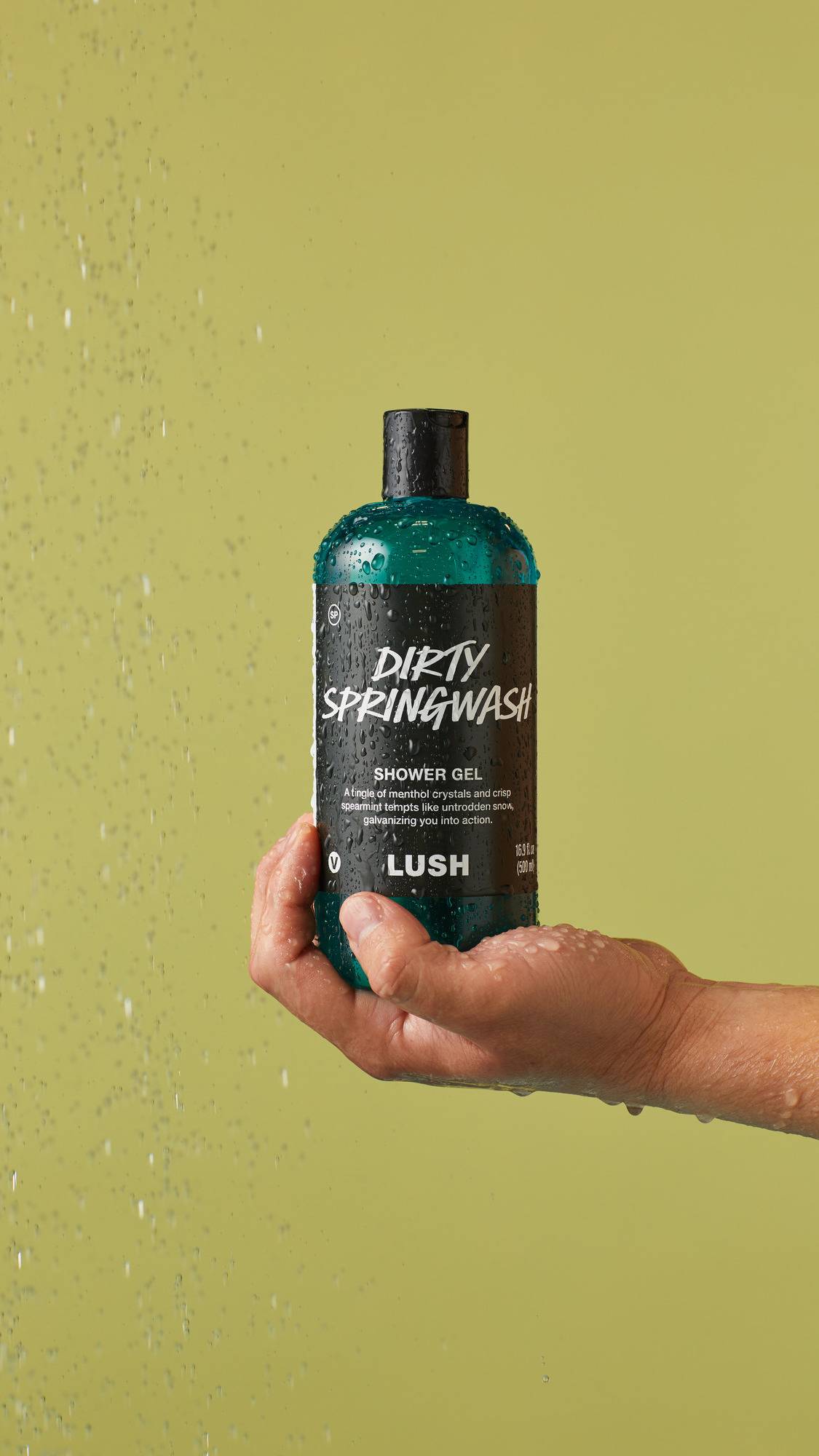 Lush Dirty Springwash — Shower Gel - Image 3