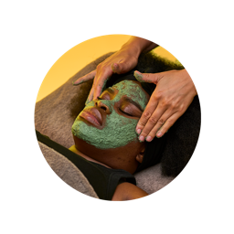 Lush Fresh Facial Spa Treatment - Image 6