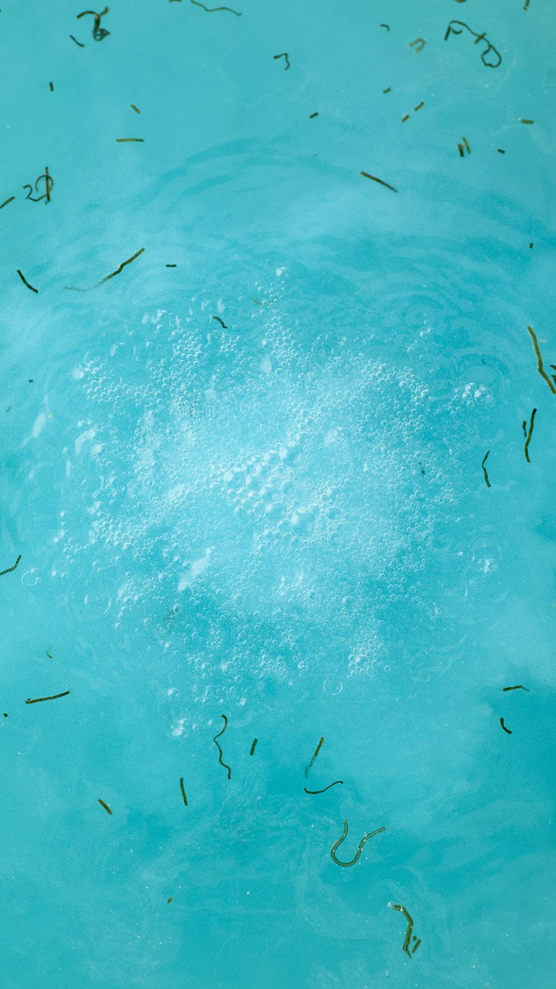 Lush Big Blue — Bomb - Image 5