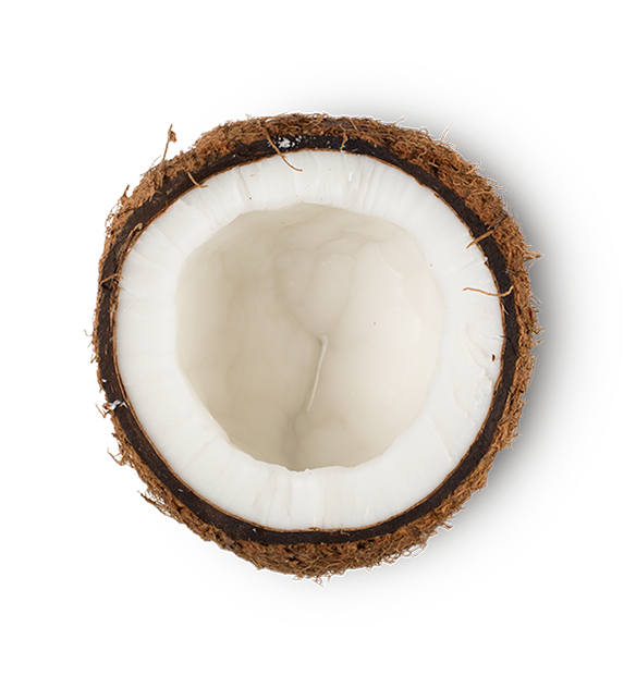 Lush Bongo — Shower Jelly - Image 7